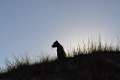 woche10 (31)