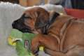 woche3 (11)