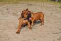 woche6 (32)