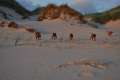 woche7 (15)