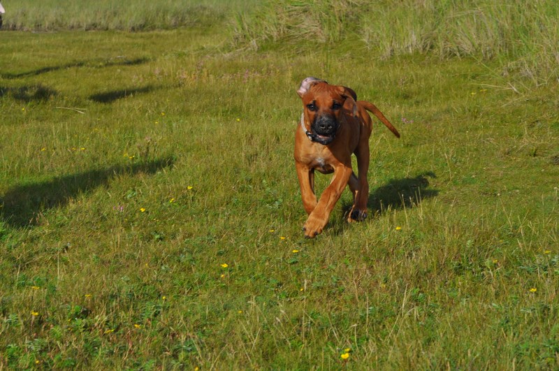 woche10 (14)