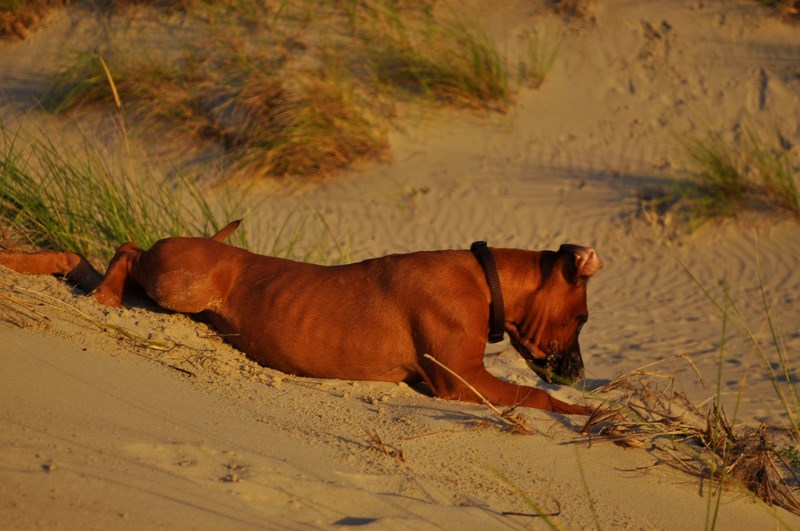 woche10 (4)
