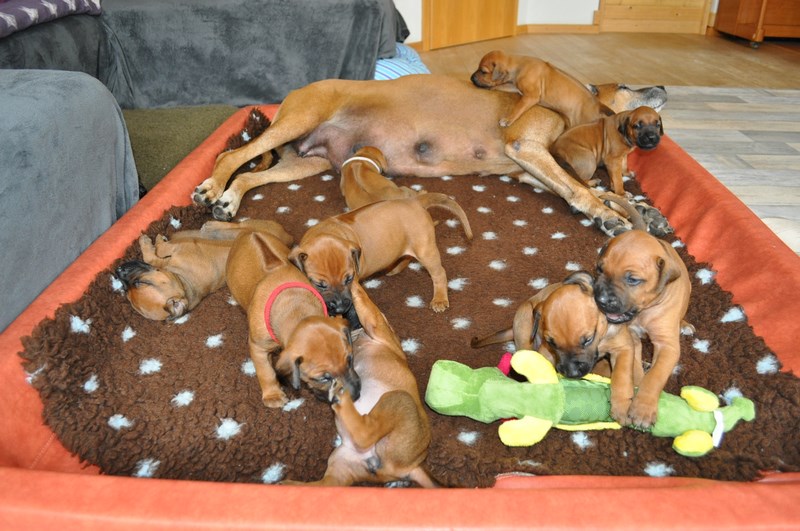 woche3 (27)
