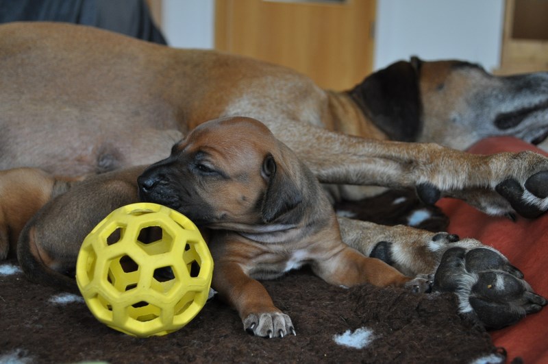 woche3 (32)