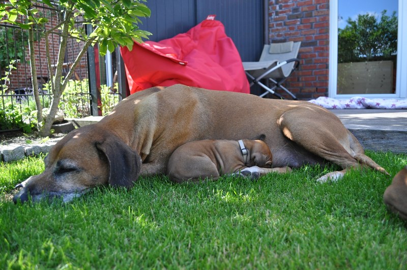 woche4 (13)