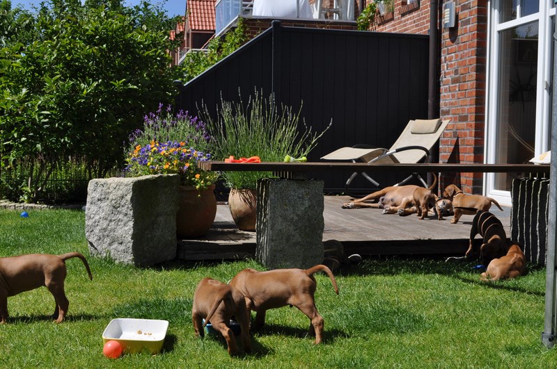 woche5 (50)