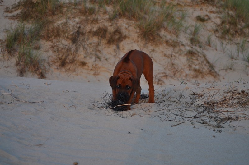 woche7 (18)