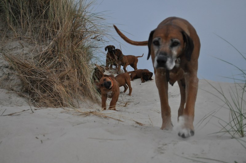 woche8 (11)