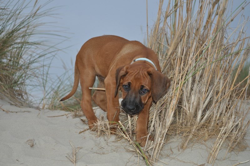 woche8 (16)
