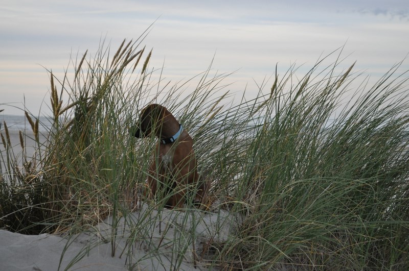 woche8 (43)