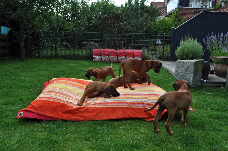 woche9 (27)