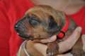woche1 (5)