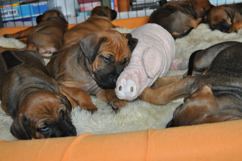 Woche5 (17)