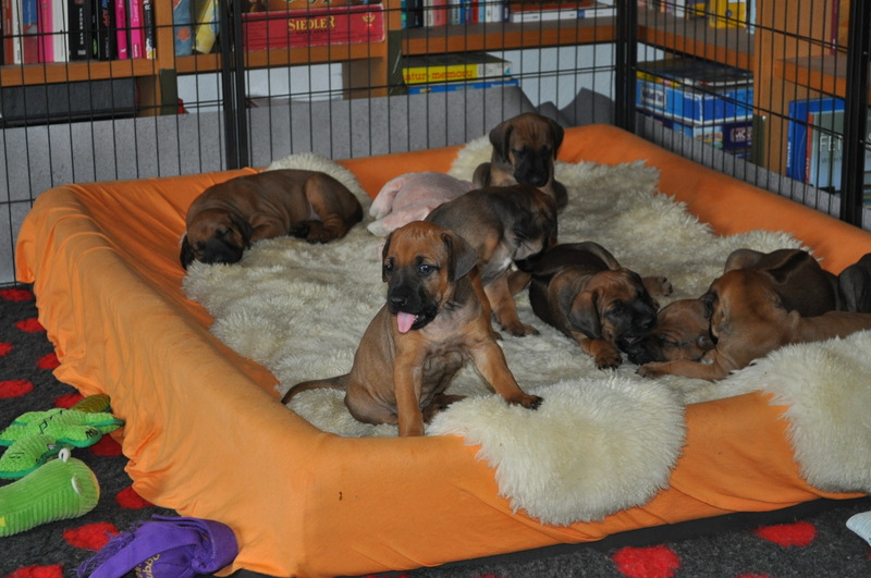 Woche5 (19)
