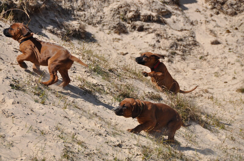 Woche7 (27)